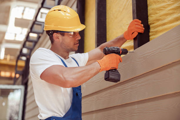 Best Siding Painting and Refinishing  in Pea Ridge, FL