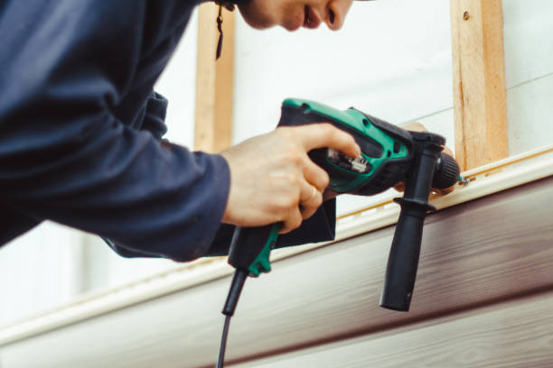 Best Aluminum Siding Installation  in Pea Ridge, FL